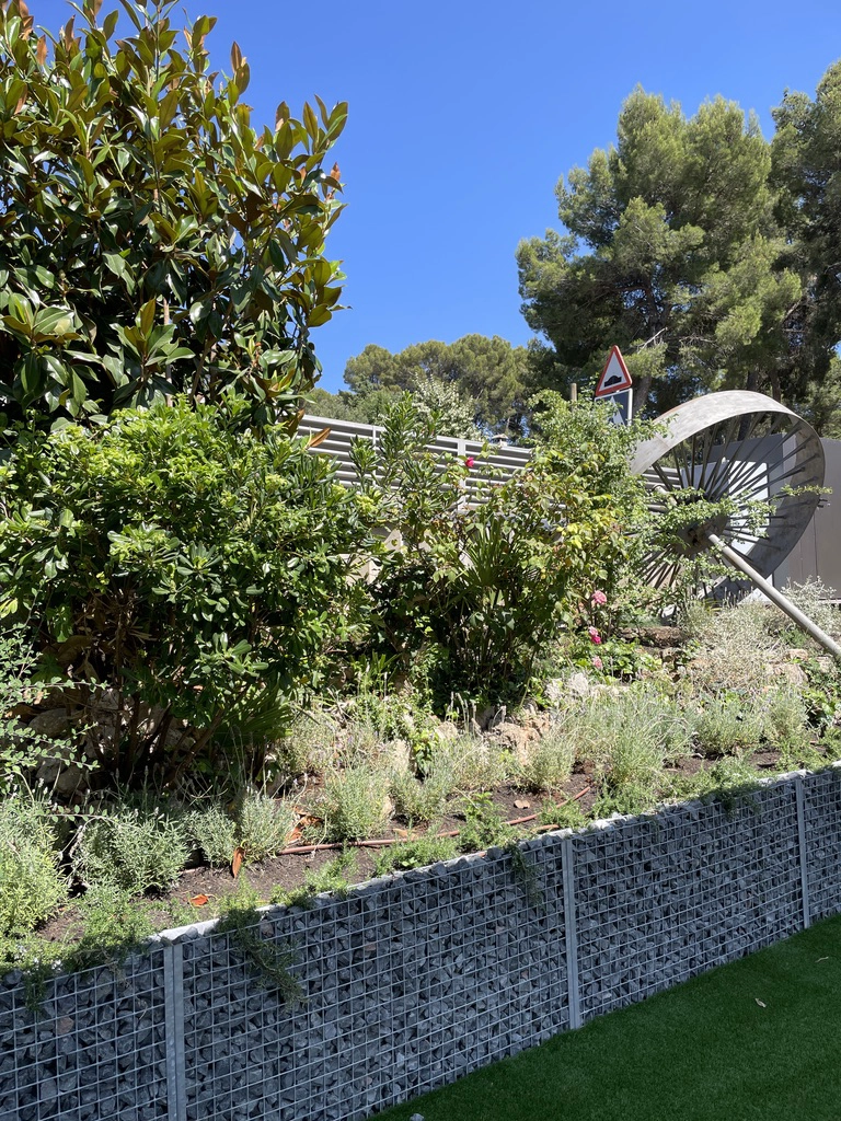 Jardín moderno con setos naturales y zonas de privacidad en una vivienda unifamiliar