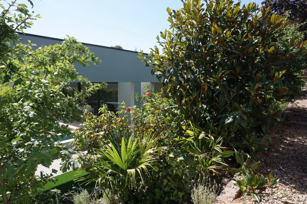 Combinación de árboles, arbustos y plantas ornamentales en un jardín moderno