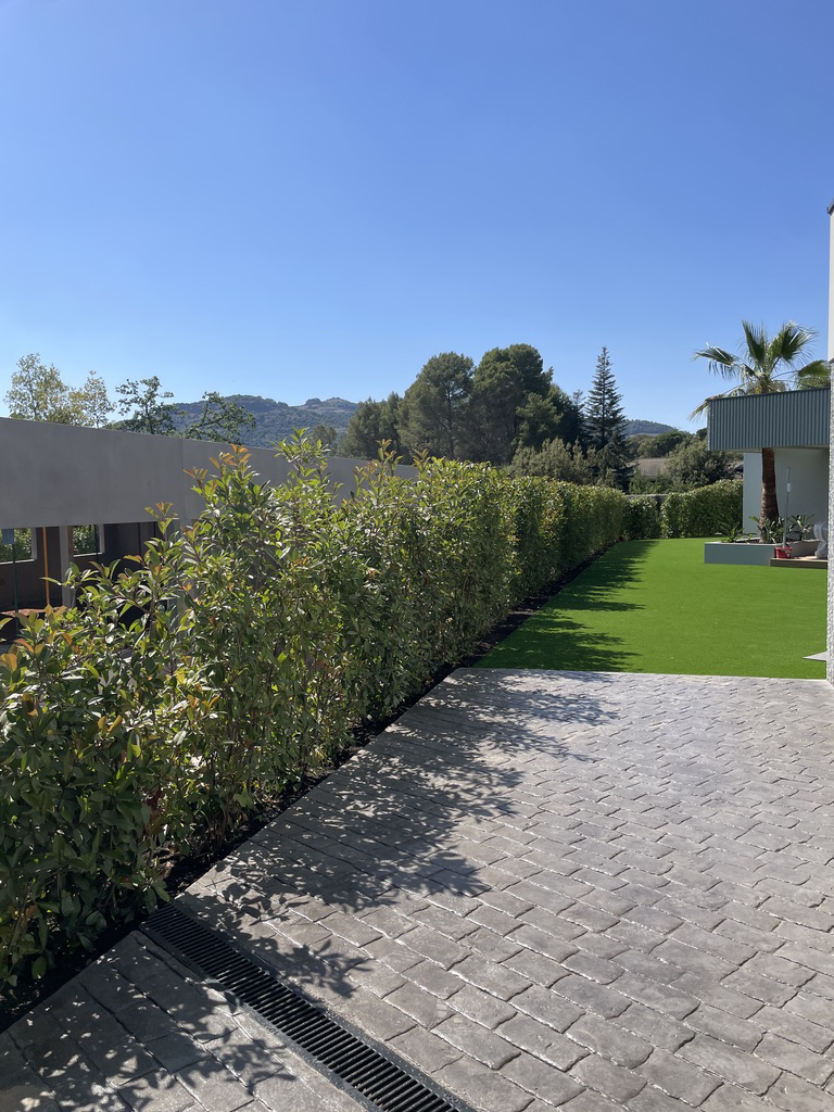 Vegetación ornamental integrada junto a un cerramiento para mejorar la privacidad del jardín