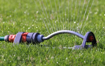 Cómo cuidar el jardín durante las vacaciones de verano