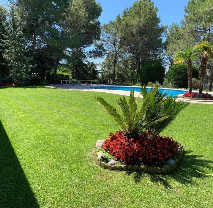 Jardín con césped y vegetación recuperados después del verano