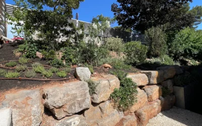 Sistemas de riego para jardines: tipos, ventajas y cuál elegir